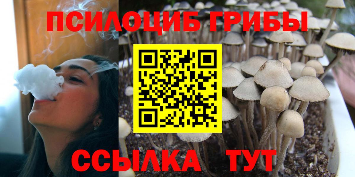 Егорьевск  Псилоцибиновые грибы мухоморы  Вход с VPN 